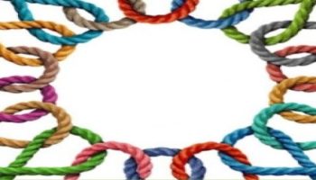 paraula_fraternitat_logo